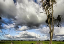 2021美洲杯舉辦國介紹.