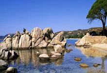 艾維的左腿腓骨骨折真是太巧了這下賽季剩余時間他可以好好休息了.